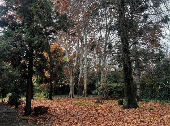 Terreno · 170m²