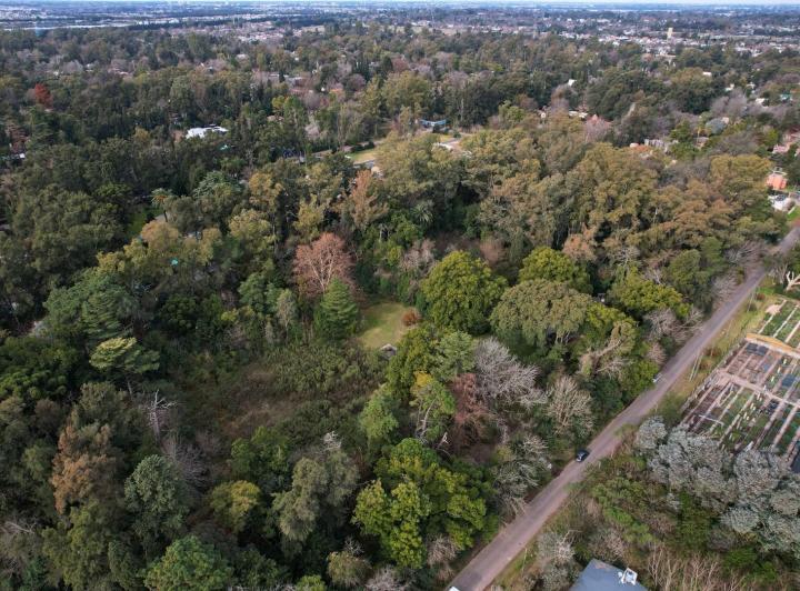 Terreno · 25000m²