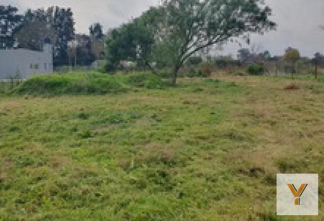 Terreno · 620m²