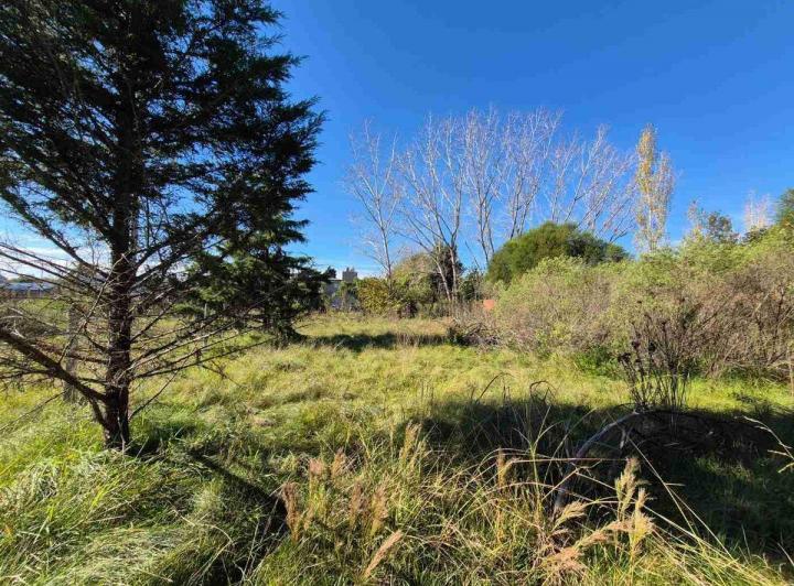 Terreno · 2800m²