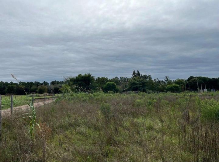Terreno · 1000m²