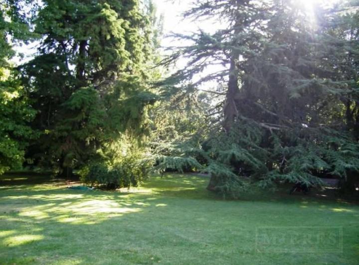 Terreno · 1800m²