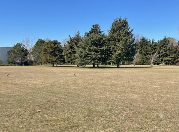 Terreno · 3067m²