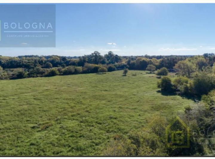 Terreno · 40000m²