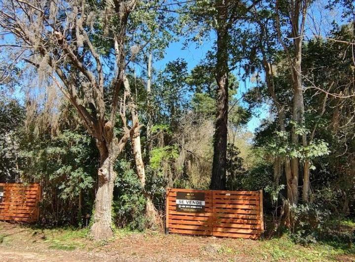 Terreno · 300m²