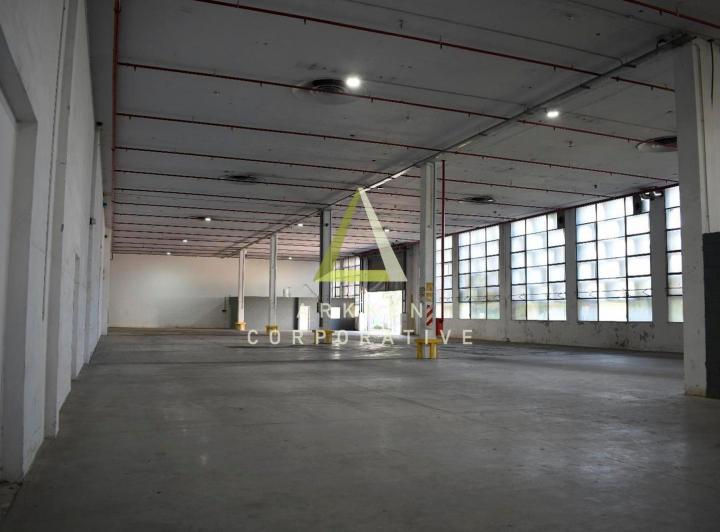 Bodega-Galpón · 1150m²