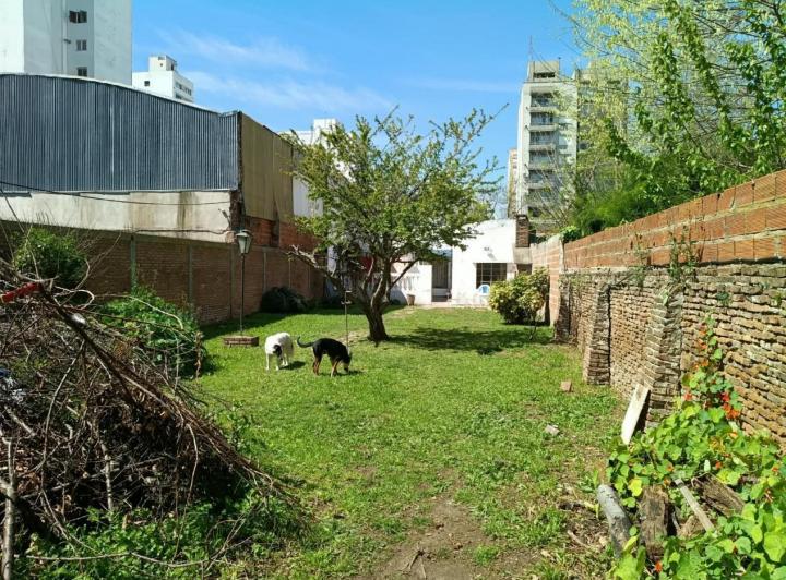 Casa · 300m² · 5 Ambientes