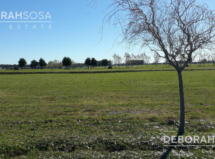 Terreno · 980m²