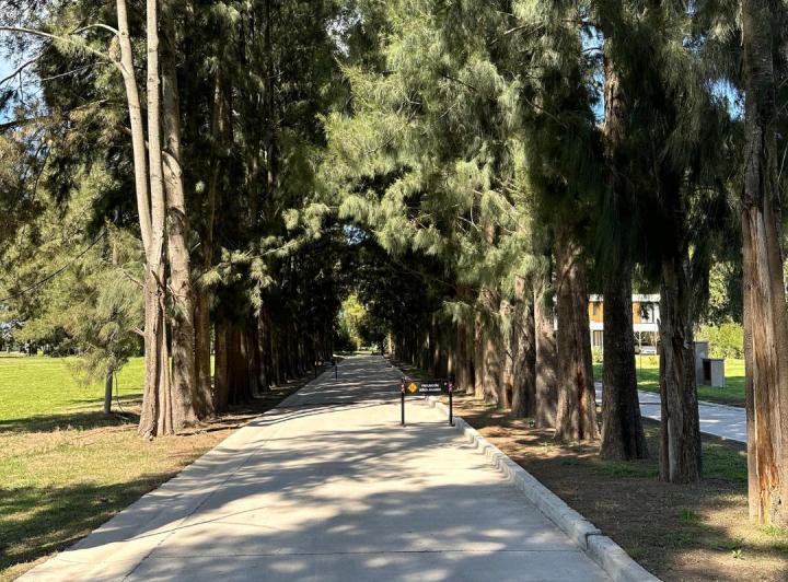 Terreno · 600m²