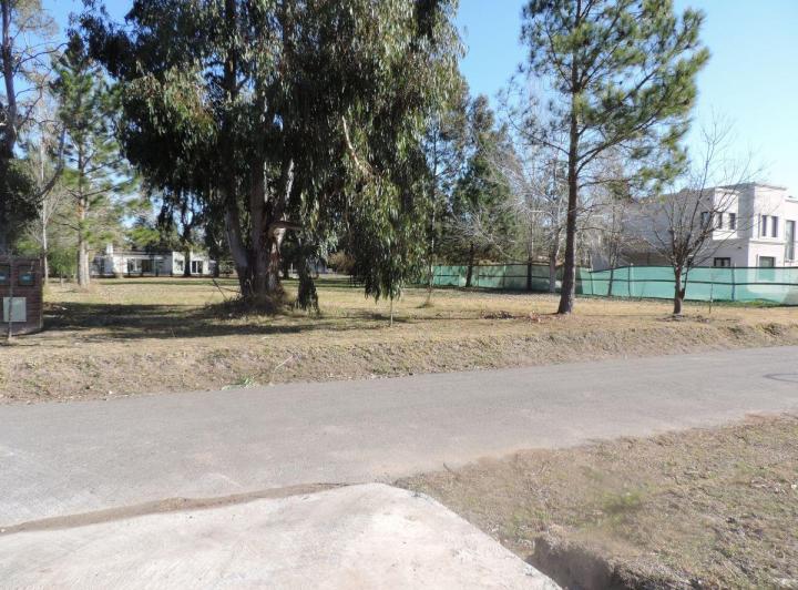 Terreno · 1500m²