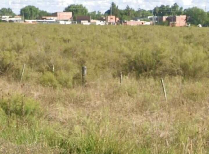Terreno · 85000m²