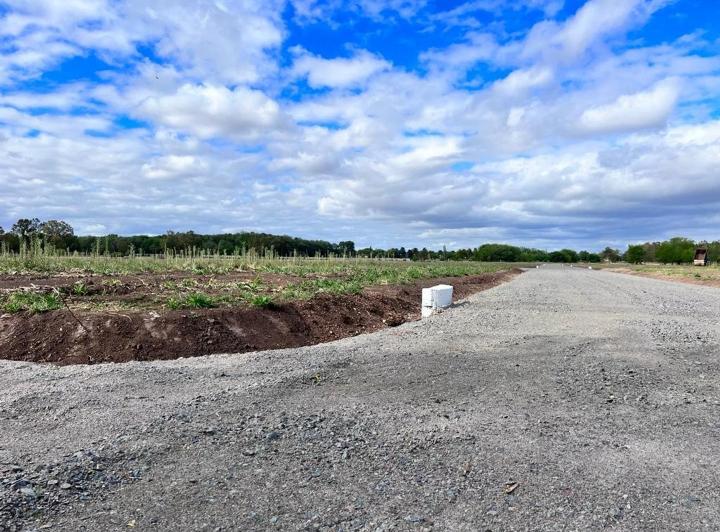 Terreno · 986m²