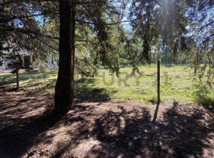Terreno · 1550m²