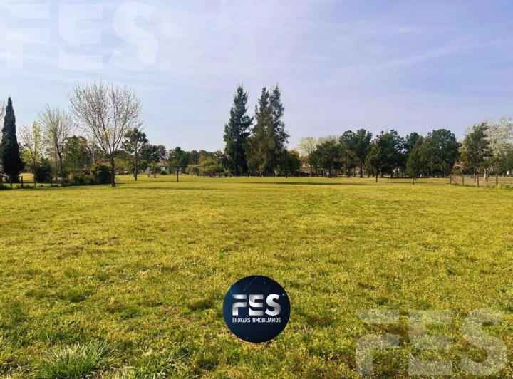 Terreno · 2000m²