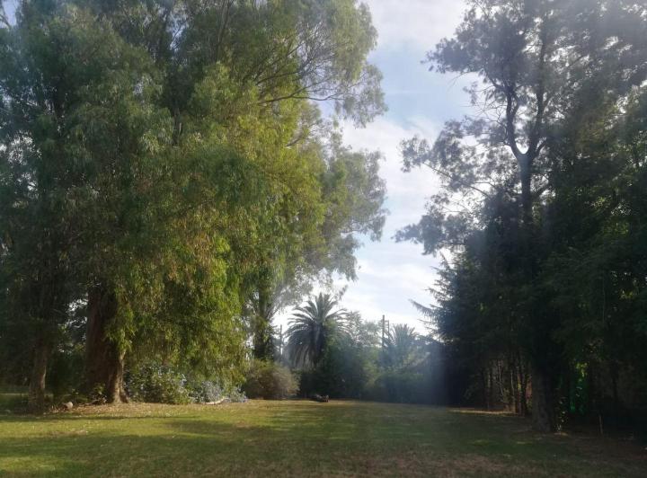 Terreno · 1102m²