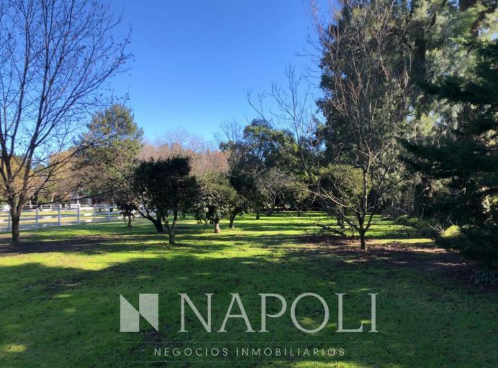 Terreno · 3000m²