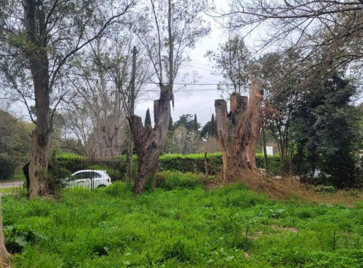 Terreno