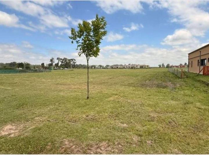 Terreno · 1019m²