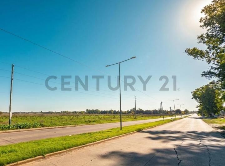 Terreno · 81250m²