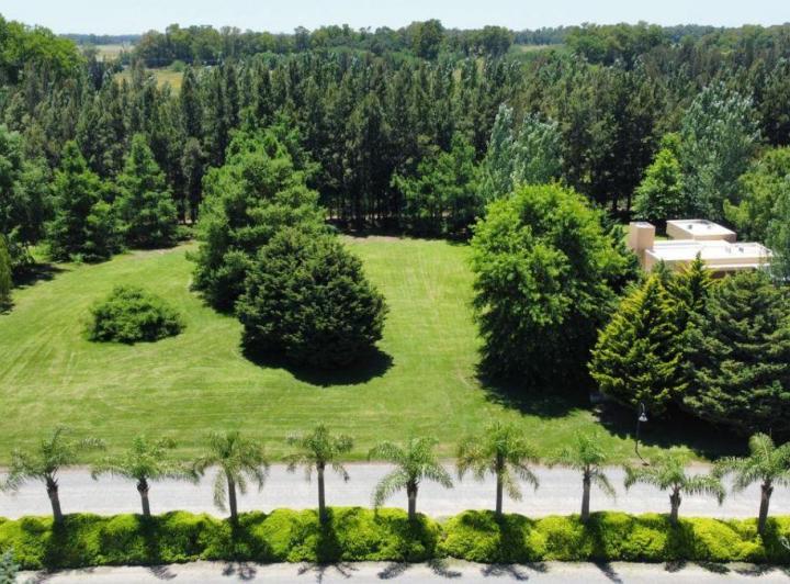 Terreno · 1801m²