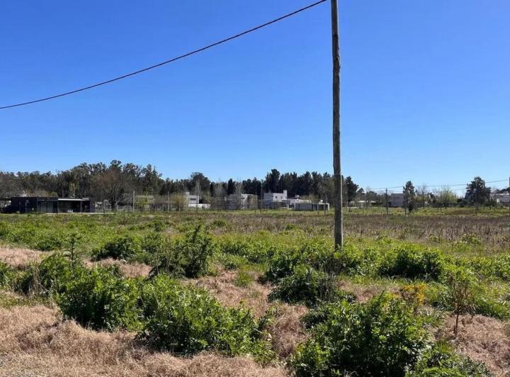 Terreno · 620m²