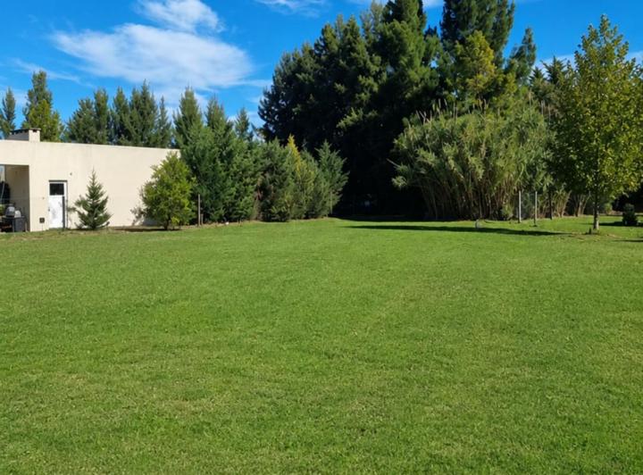 Terreno · 1132m²