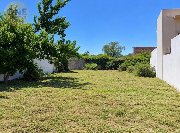 Terreno · 292m²