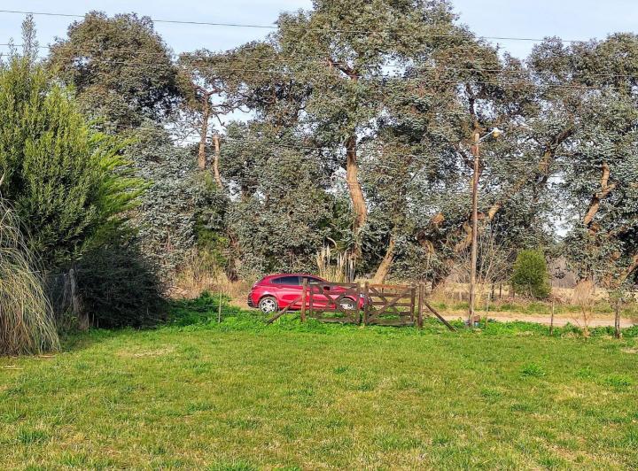 Terreno · 1254m²