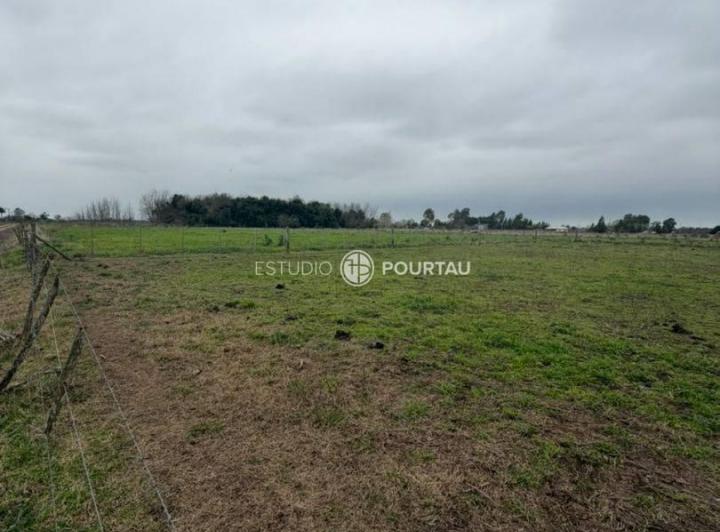 Terreno · 24000m²