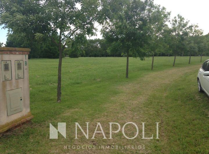Terreno · 2900m²