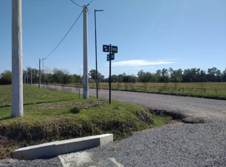 Terreno · 40000m²