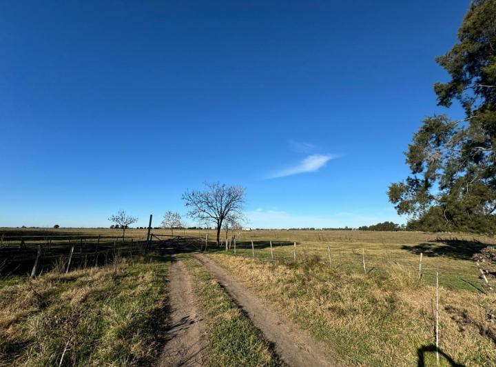Terreno · 1340000m² · 1 Ambiente