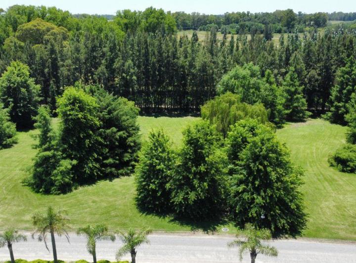 Terreno · 1799m²