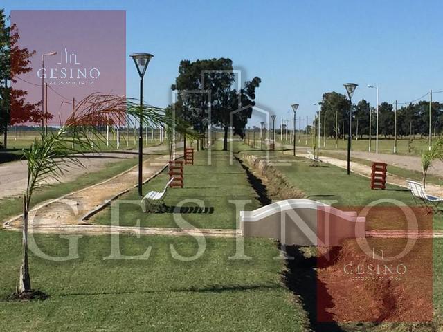 Terreno · 1000m²