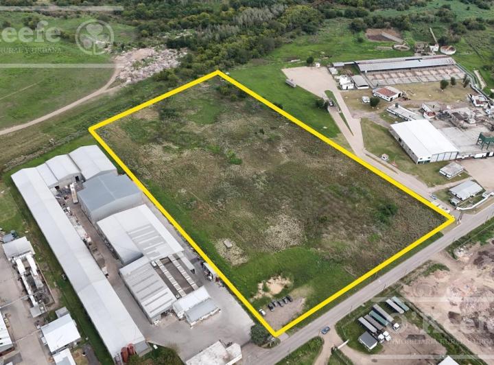 Terreno · 34306m²