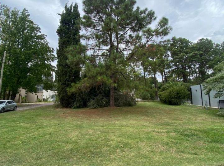 Terreno · 577m²