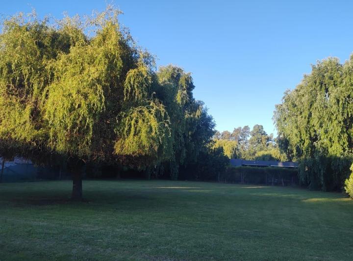 Terreno · 982m²