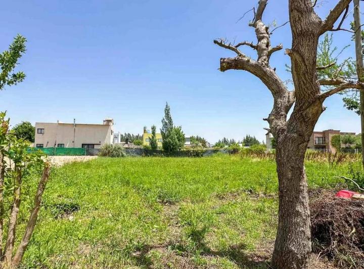 Terreno · 300m²