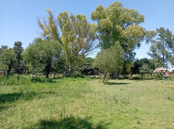 Terreno · 3597m²
