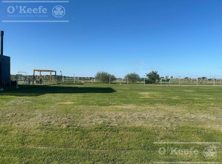 Terreno · 602m²