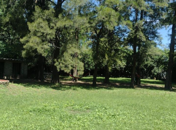 Terreno · 40m²