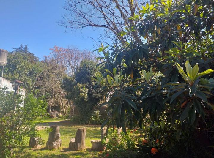 Terreno · 390m²