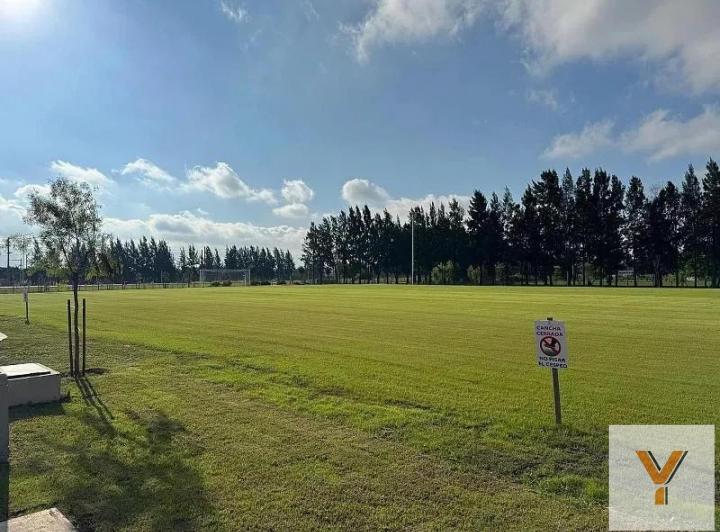 Terreno · 1436m²