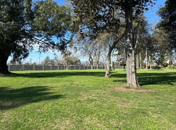 Terreno · 1364m²