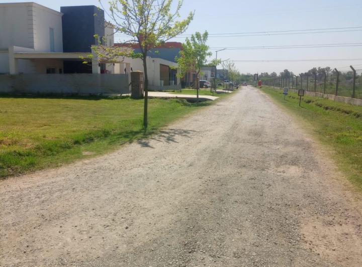 Terreno