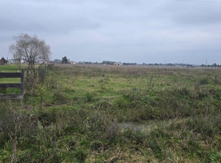 Terreno · 12000m²