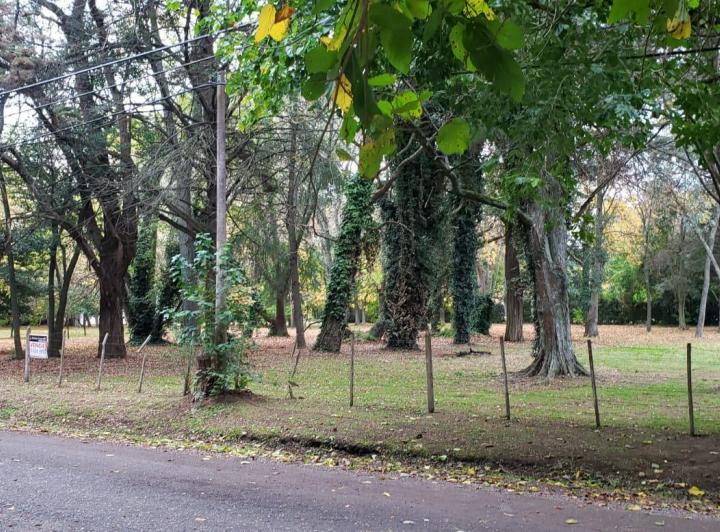Terreno · 1m²
