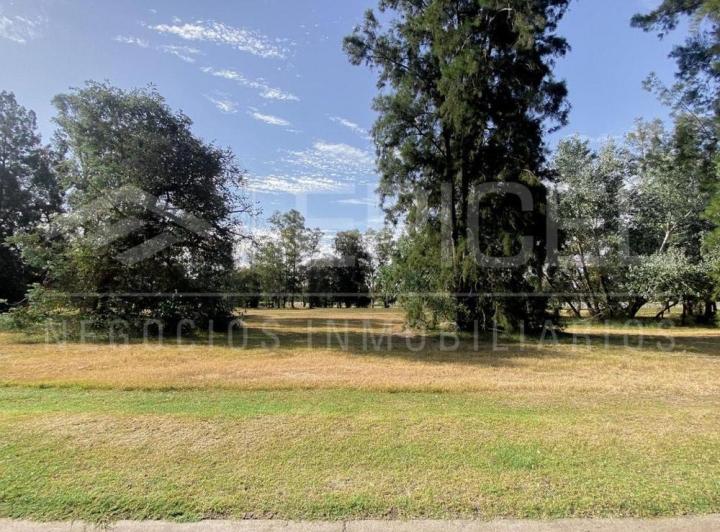 Terreno · 833m²