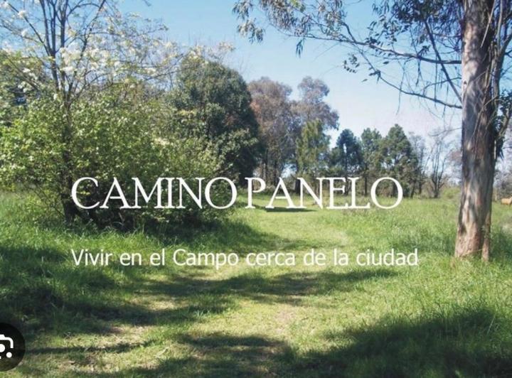 Terreno · 980m²