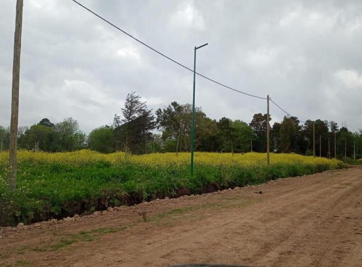 Terreno · 506m²